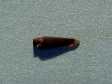 Slangemakrel